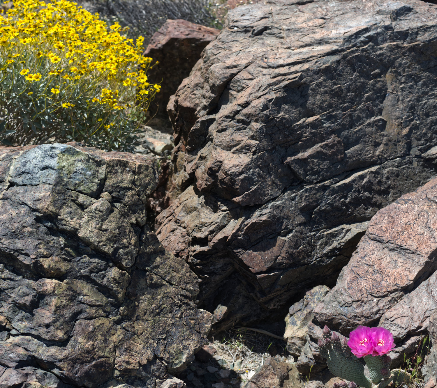 Rock formation with colorful flowers