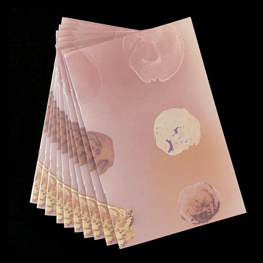 Zine: Lumen Prototypes